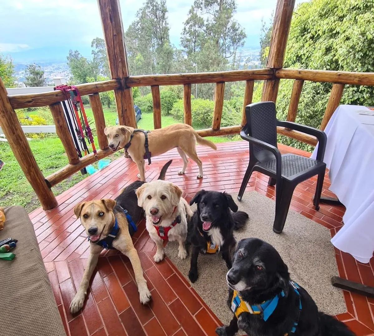 Villa Casa Rustica Con Vista Increible Y Aire Fresco Quito